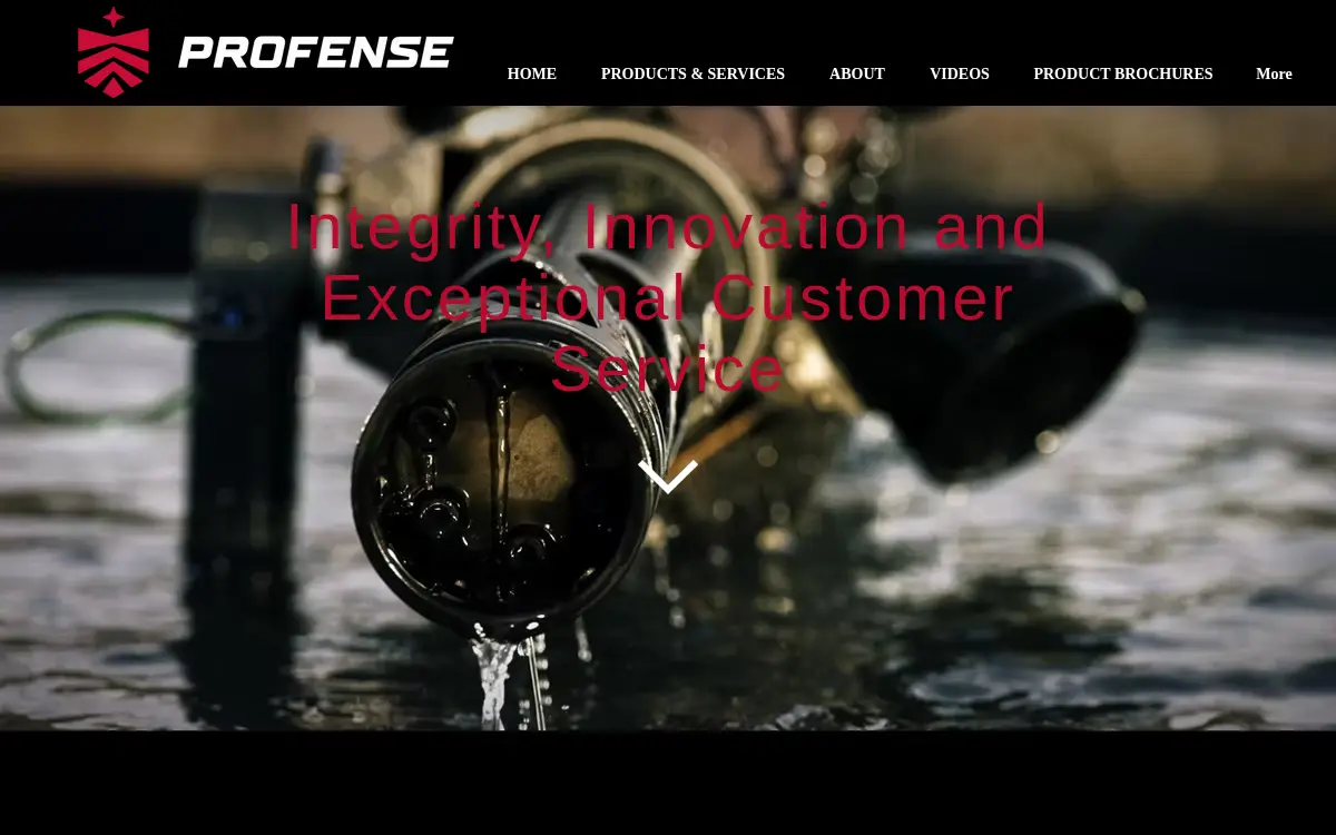 Homepage of Profense, LLC