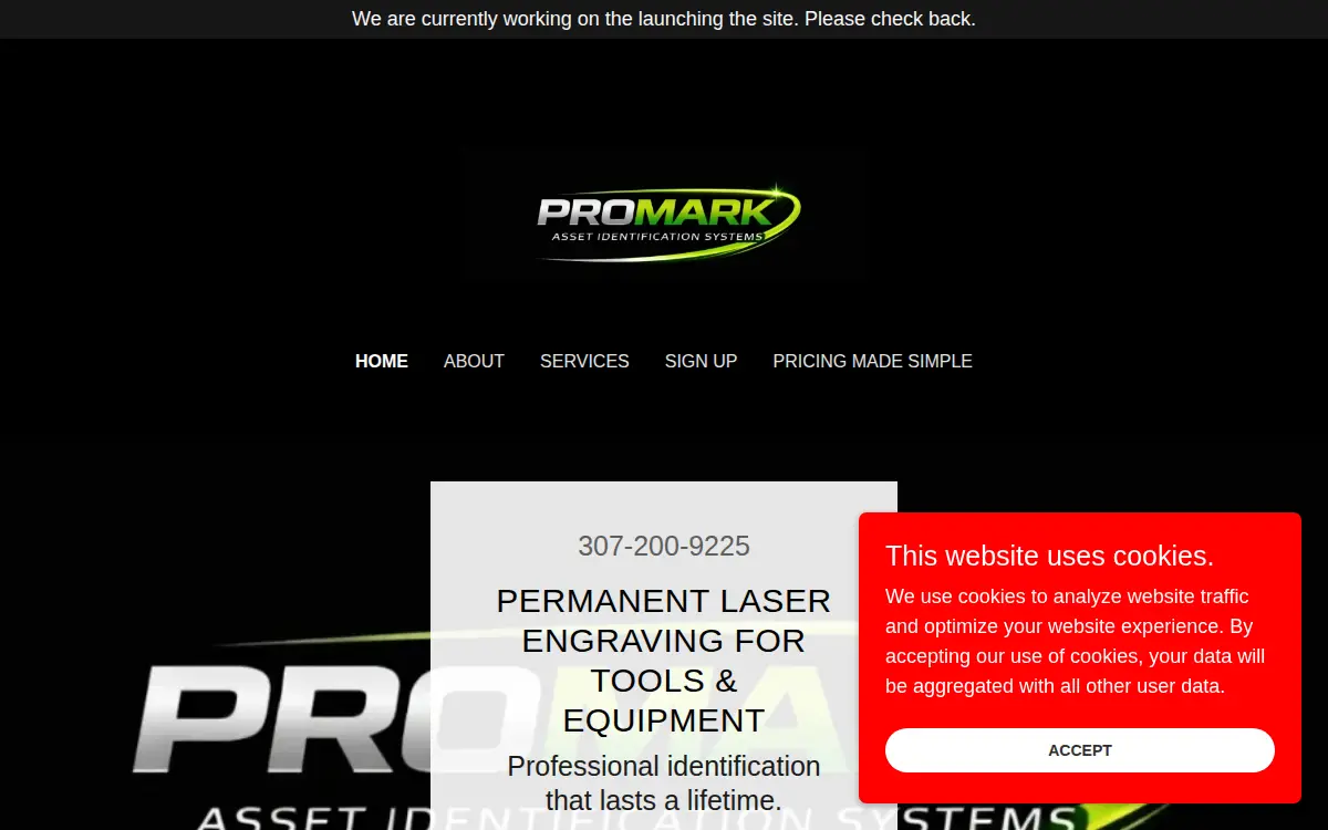 Homepage of Promark Group, LLC