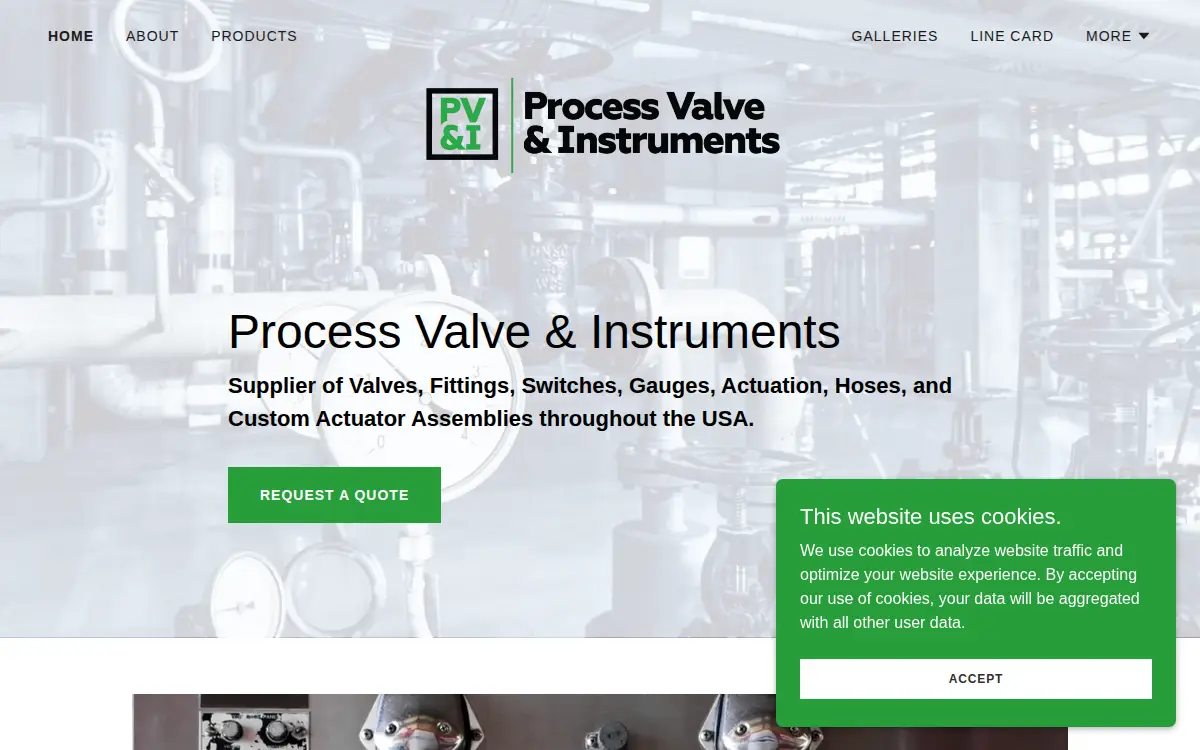 Homepage of Jpv&i LLC