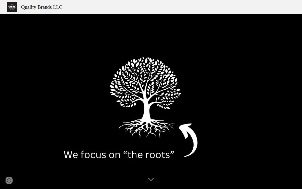 Homepage of Quality Brands LLC
