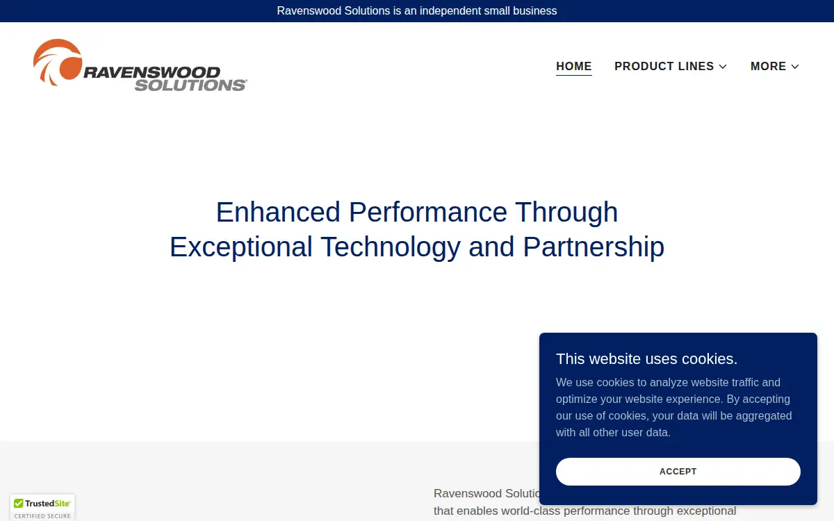 Homepage of Ravenswood Solutions, INC.