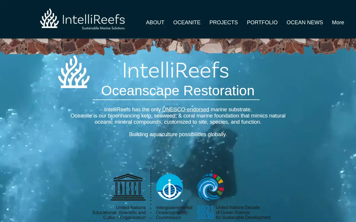 Homepage of Reef Life Restoration LLC