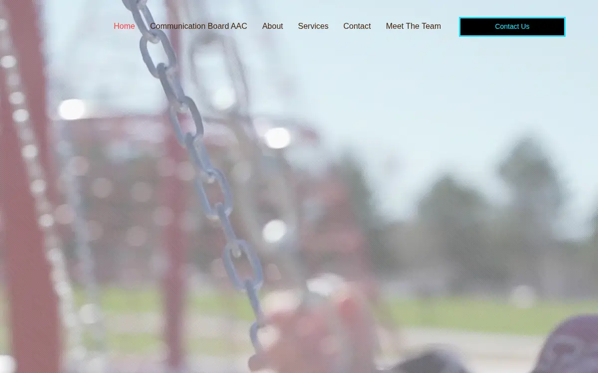 Homepage of Safe Play Solutions LLC