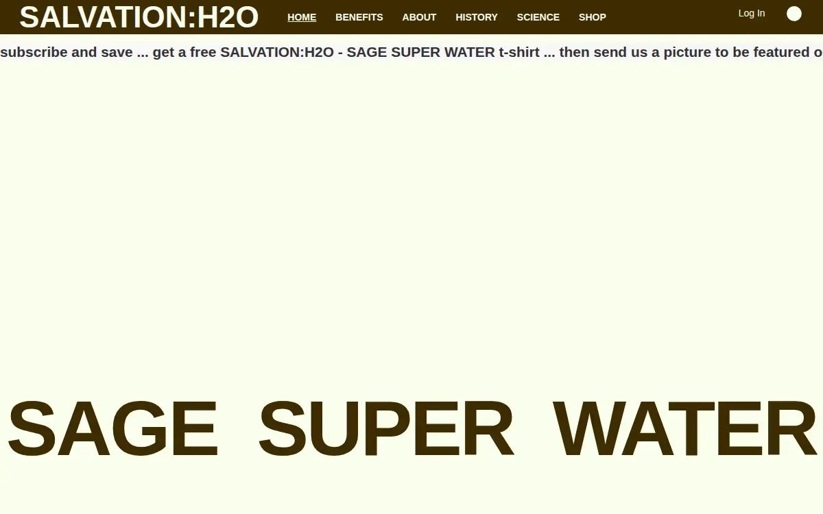 Homepage of Salvation LLC