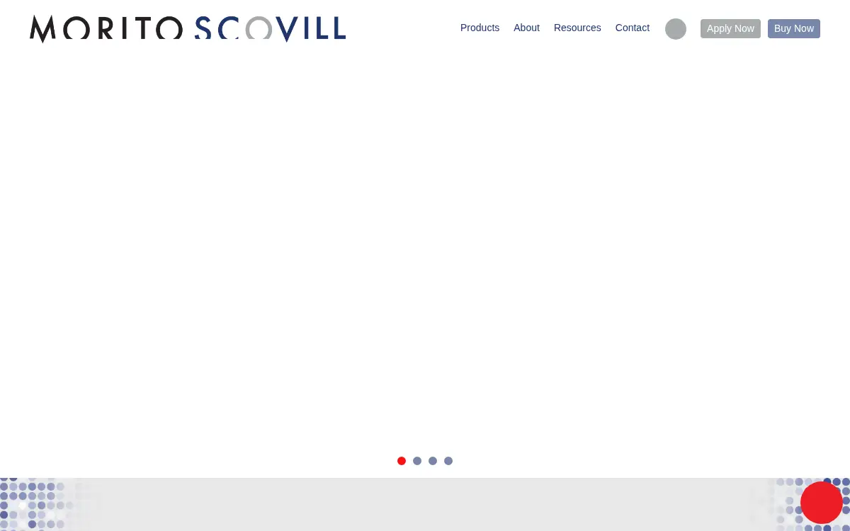 Homepage of Morito Scovill Americas, LLC