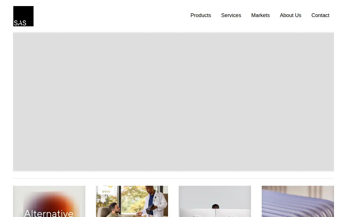 Homepage of Seats and Stations Consulting CORP