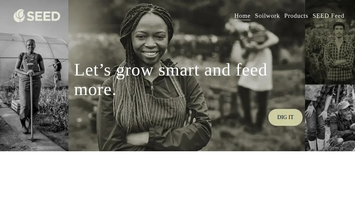 Homepage of Seed - Sustainable Entrepreneurial Ecosystem Development