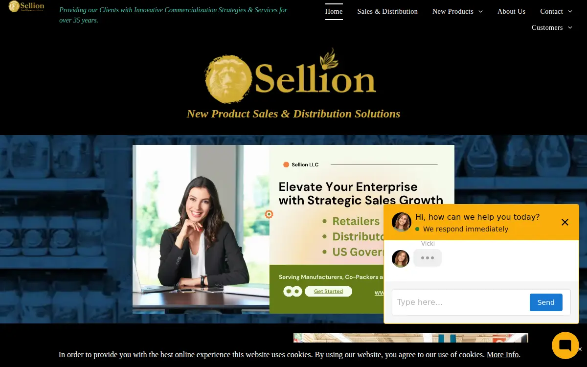 Homepage of Sellion LLC