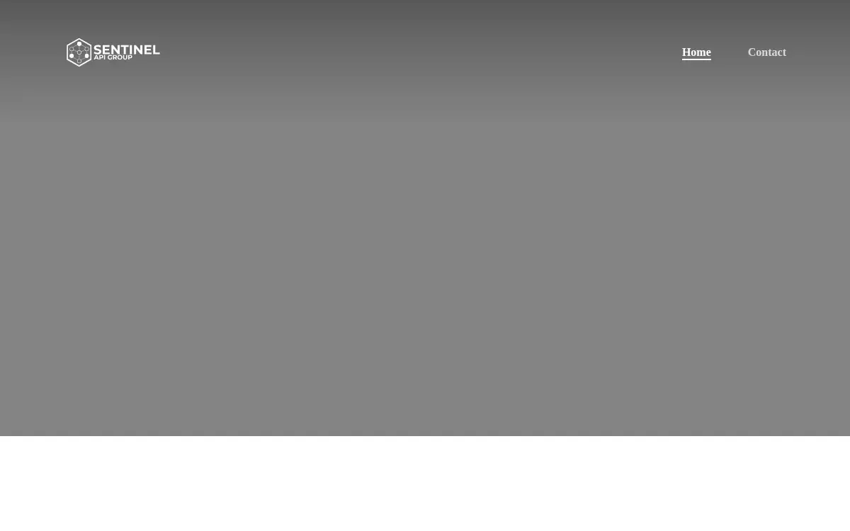 Homepage of Sentinel Api Group, INC.