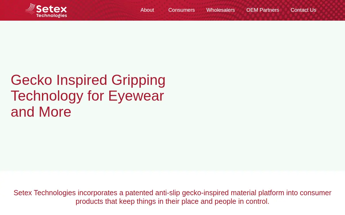 Homepage of Setex Technologies INC