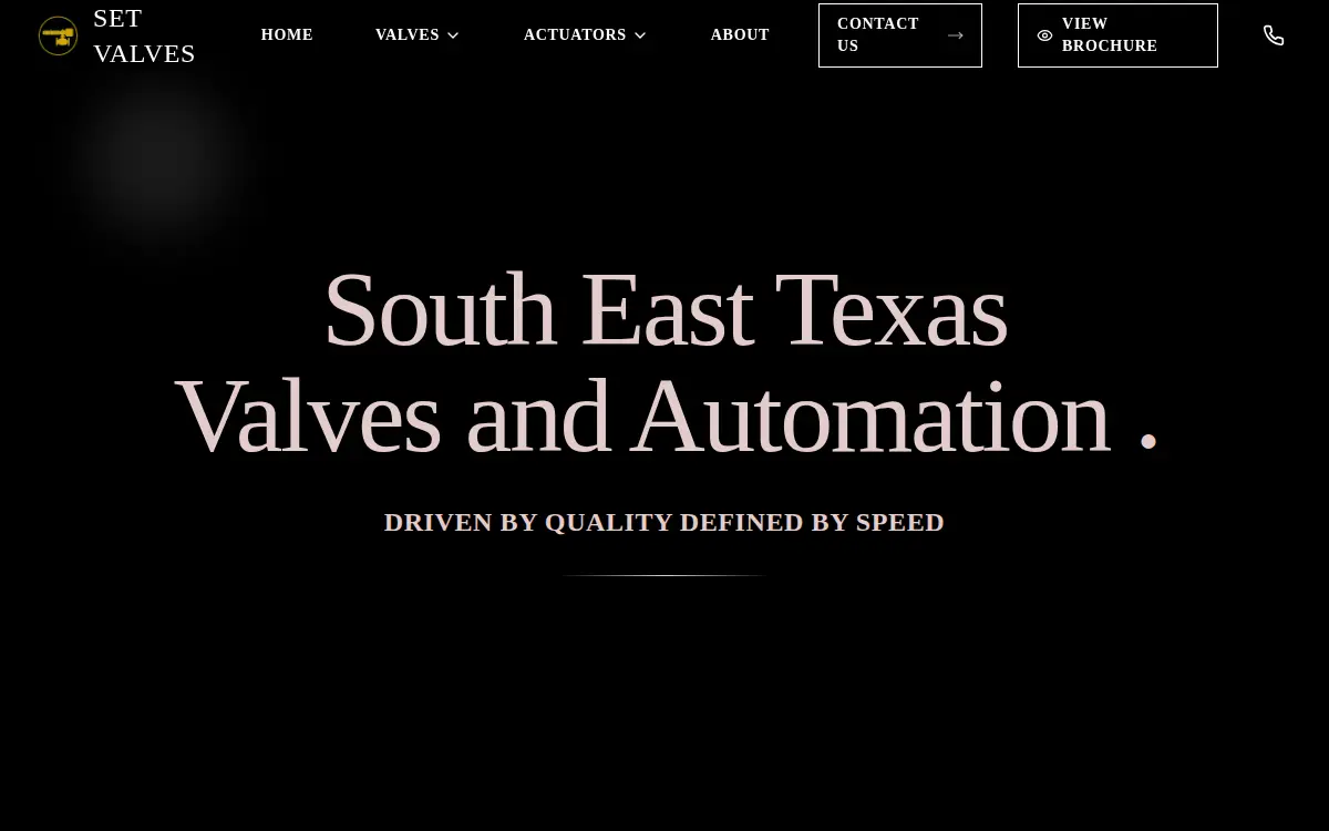 Homepage of South East Texas Valves & Automation LLC