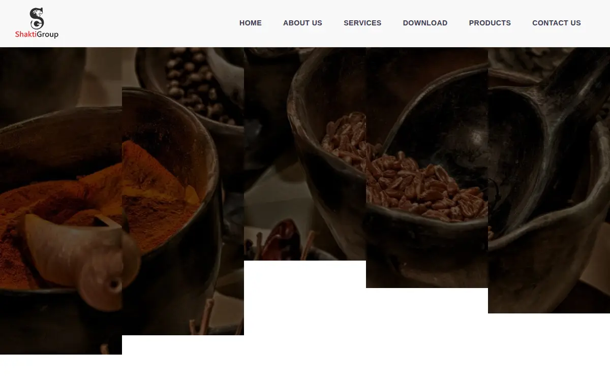 Homepage of Shakti Group USA LLC
