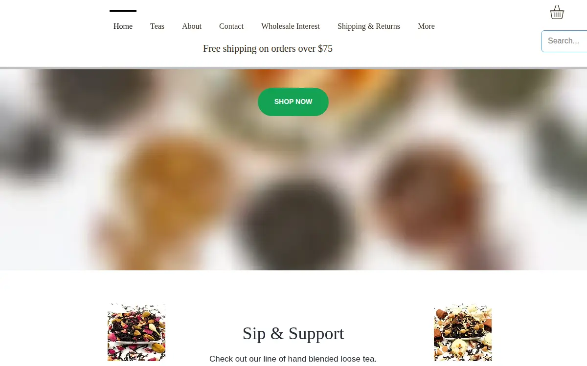 Homepage of The Skirted Soldier LLC