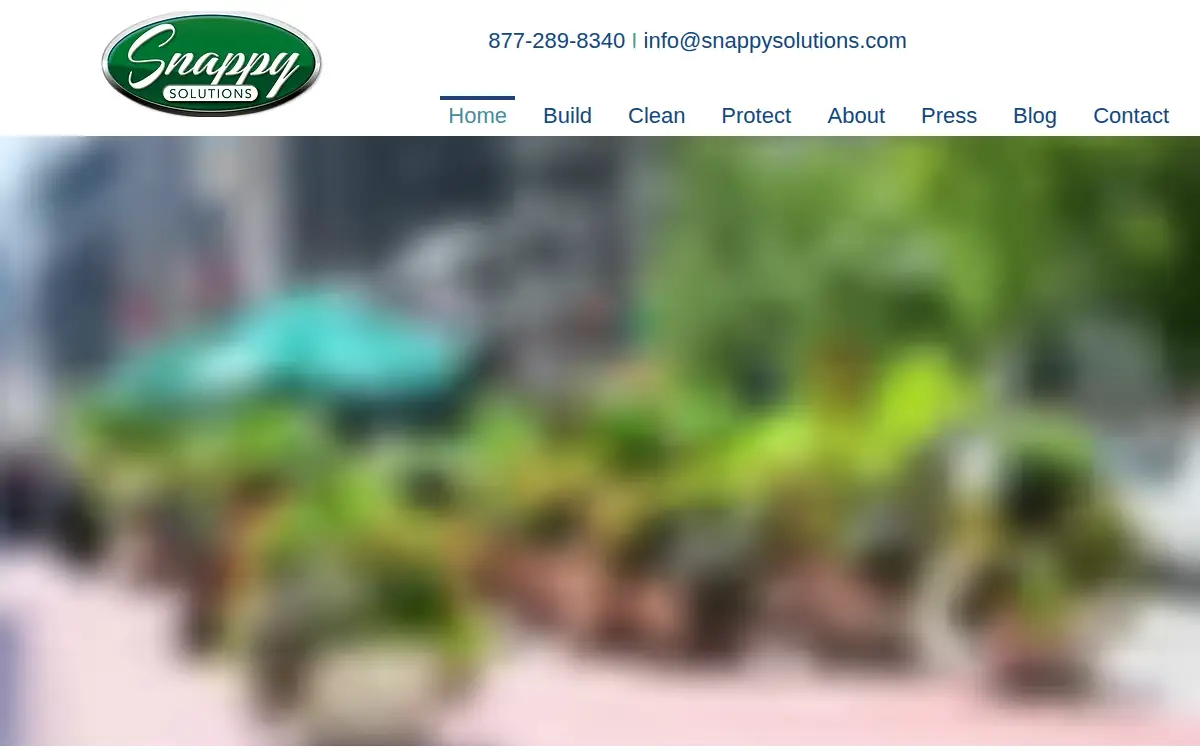 Homepage of Snappy Solutions, INC.