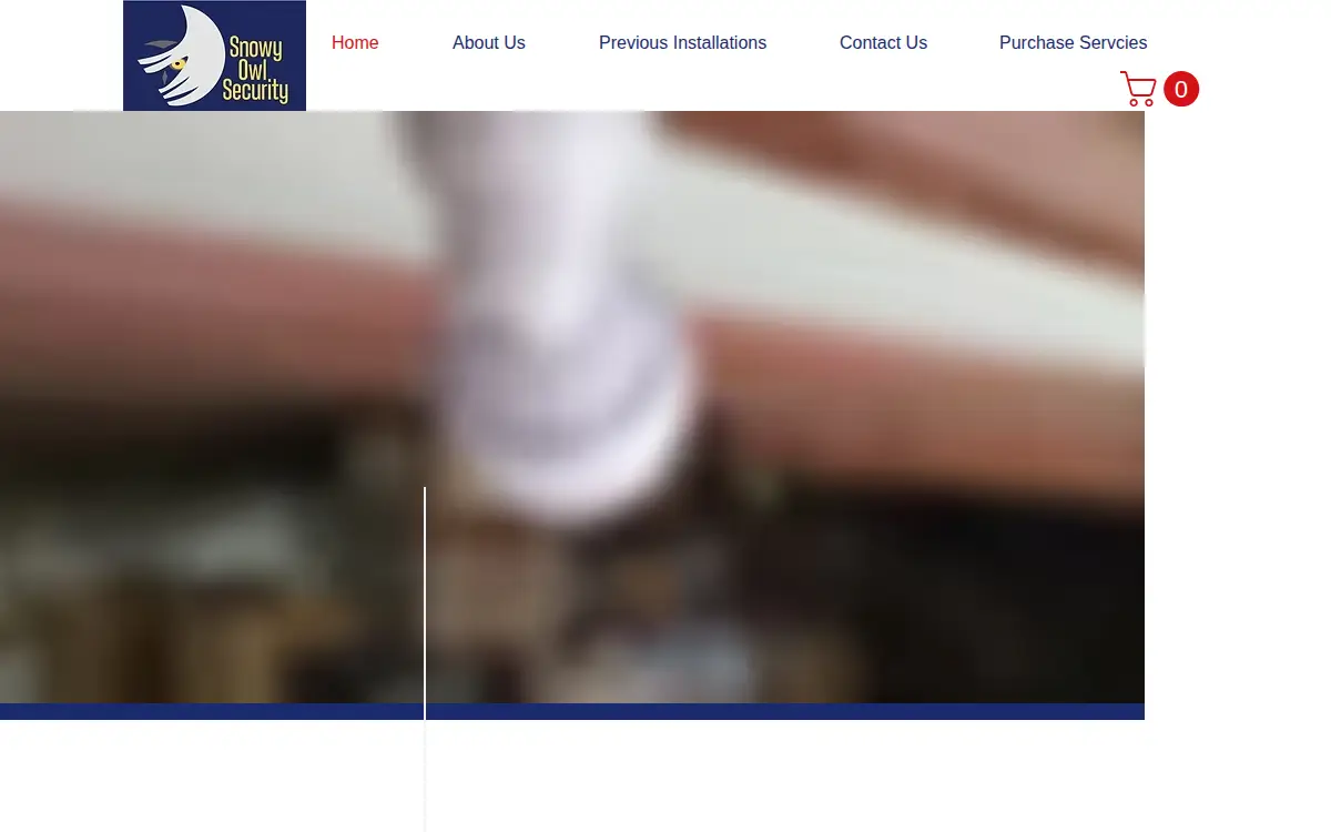 Homepage of Snowy Owl Security LLC