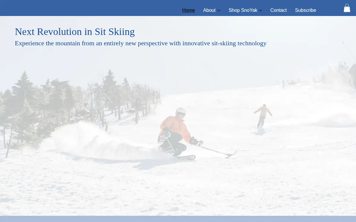 Homepage of Snoyak, LLC