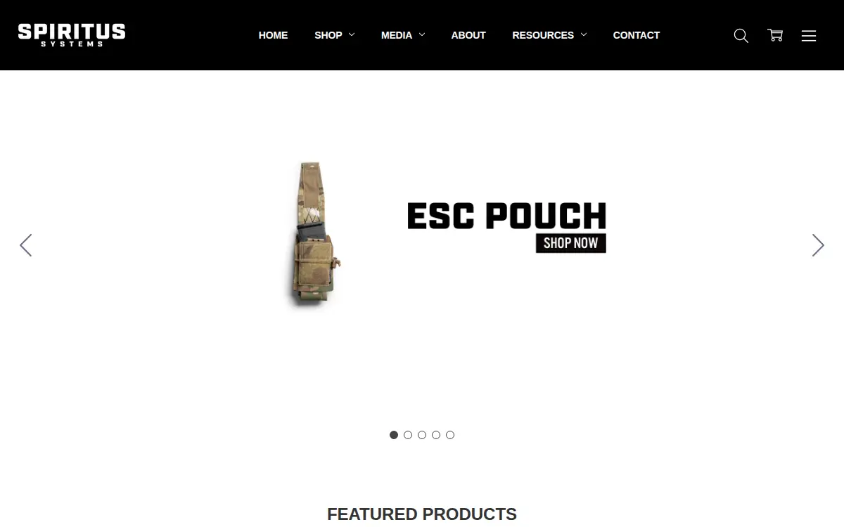 Homepage of Spiritus Systems Company