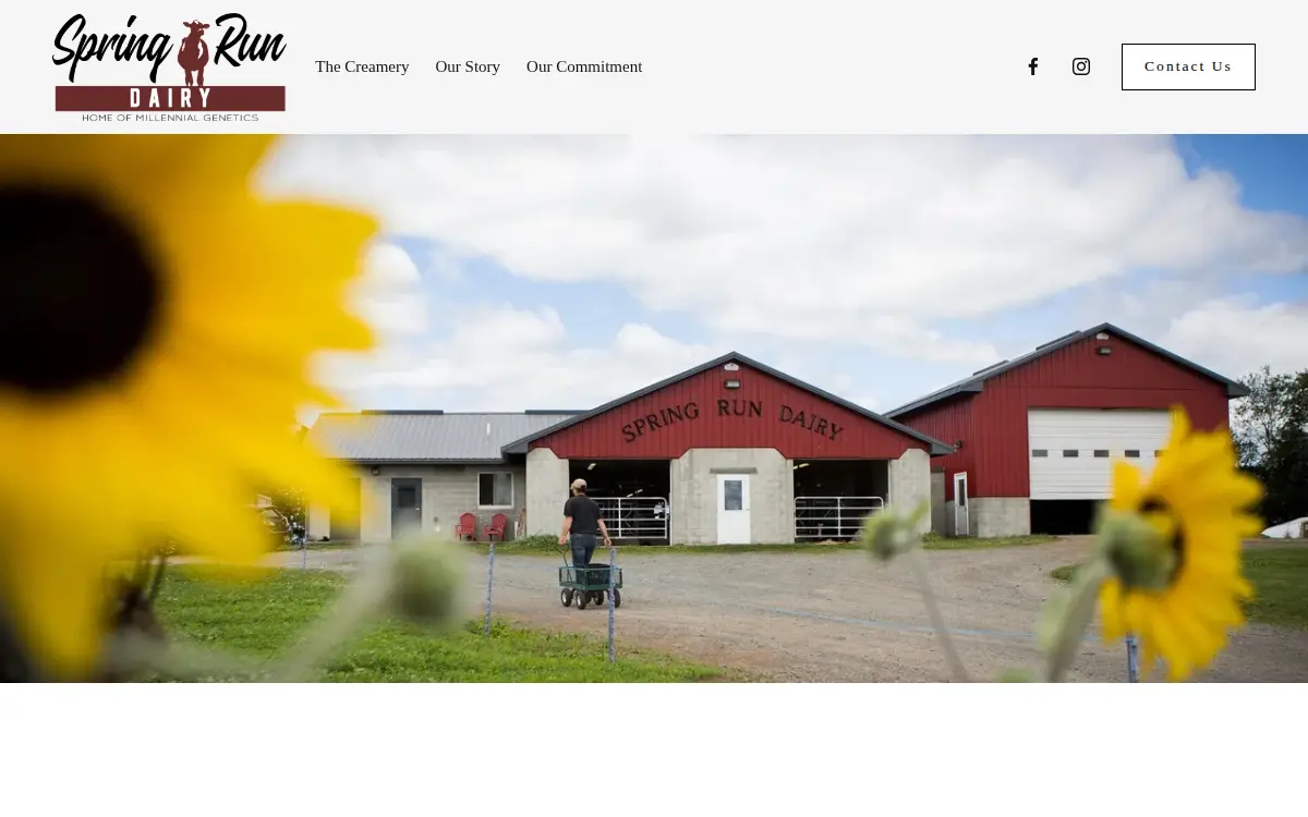 Homepage of The Creamery at Spring Run Dairy LLC