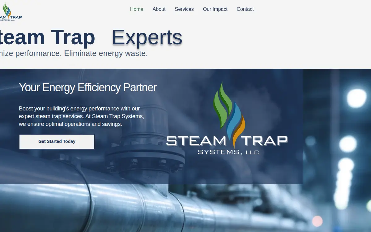 Homepage of Steam Trap Systems LLC
