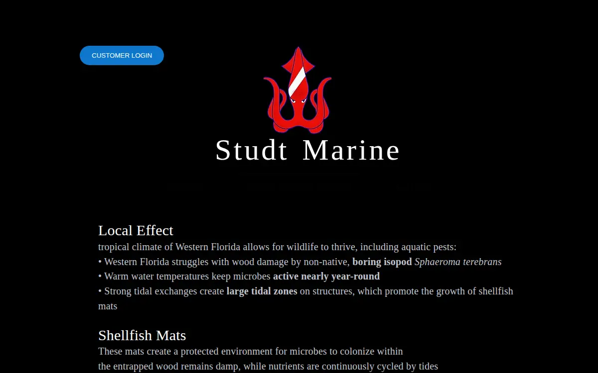 Homepage of Studt Marine Services, LLC