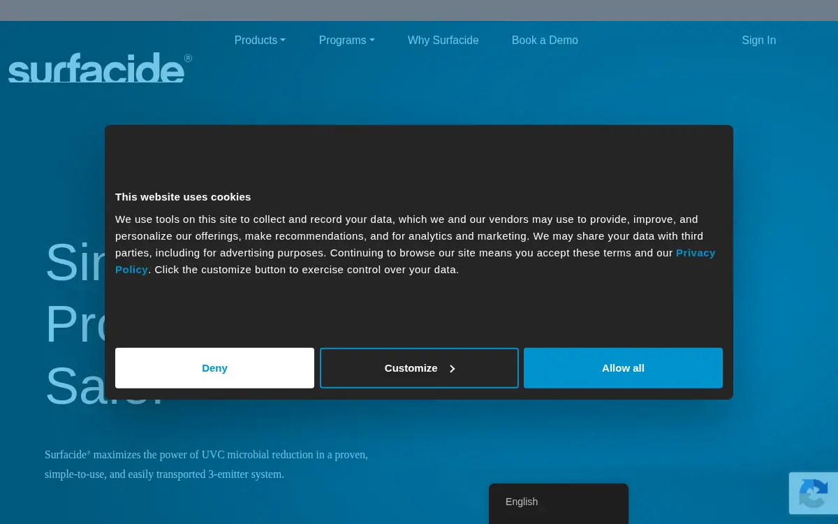 Homepage of Surfacide, LLC