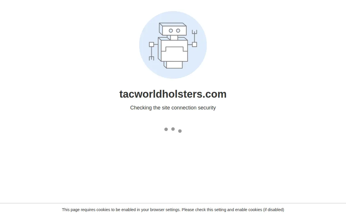 Homepage of Tacworld Holsters and Accessories LLC