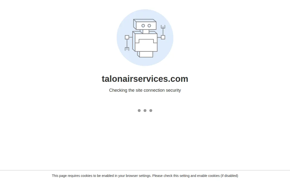 Homepage of Talon Air