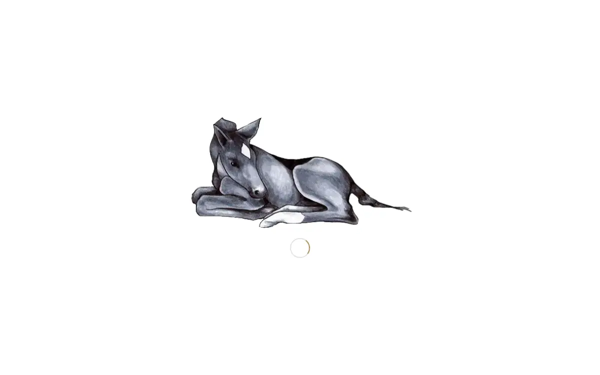 Homepage of Taylor & Company Products, INC.