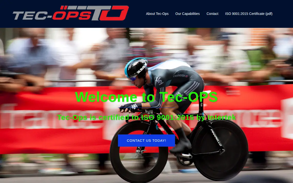 Homepage of Blue Lagoon INC