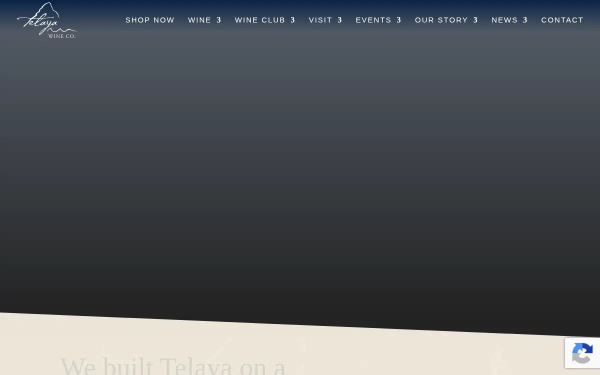 Homepage of Telaya, LLC