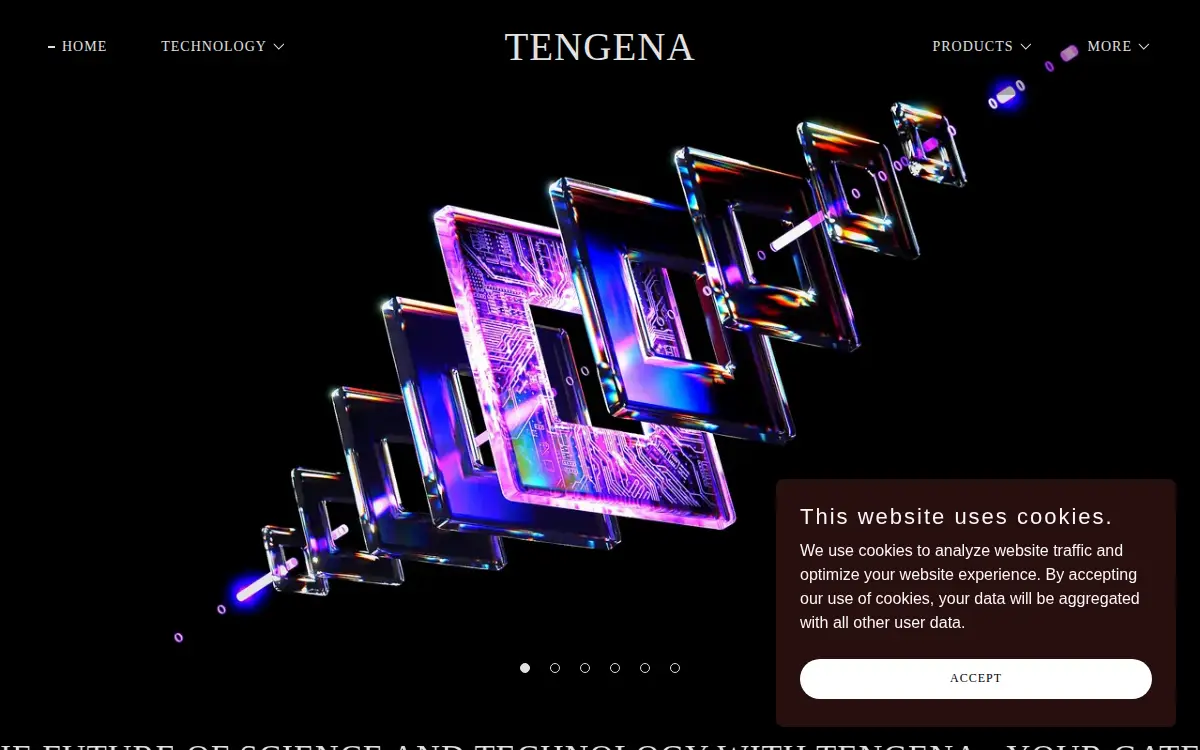 Homepage of Tengena LLC