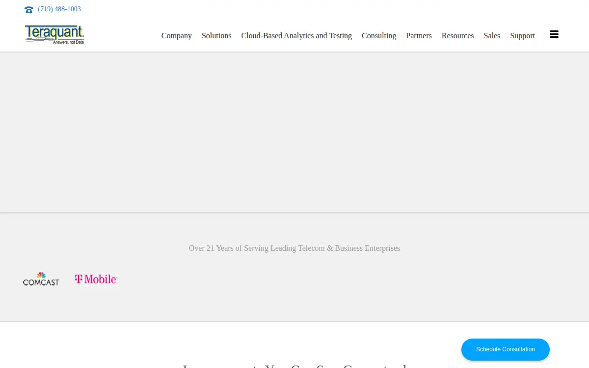 Homepage of Teraquant Corporation
