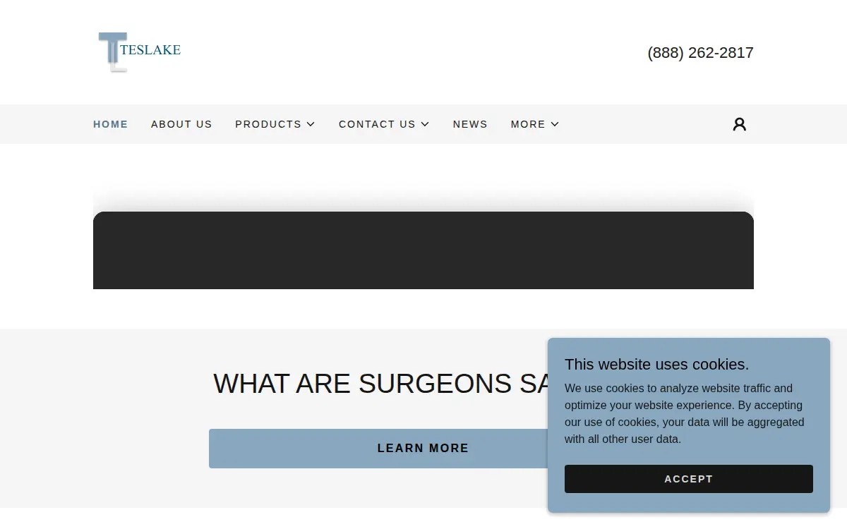 Homepage of Teslake, INC.