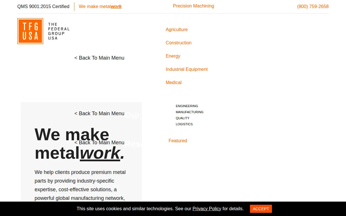 Homepage of The Federal Group Usa, INC