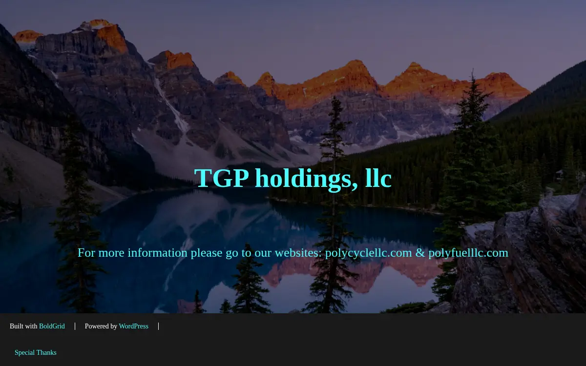 Homepage of Tgp Holdings, LLC