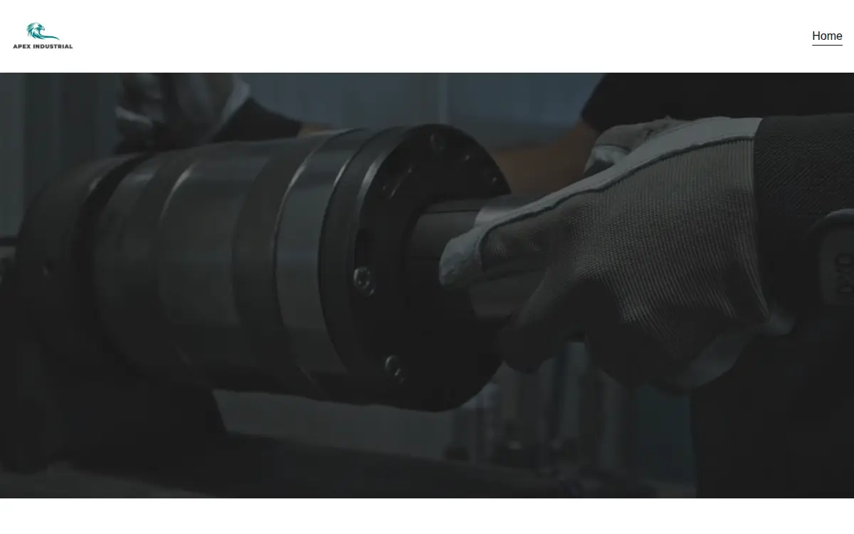 Homepage of Apex Industrial Group LLC