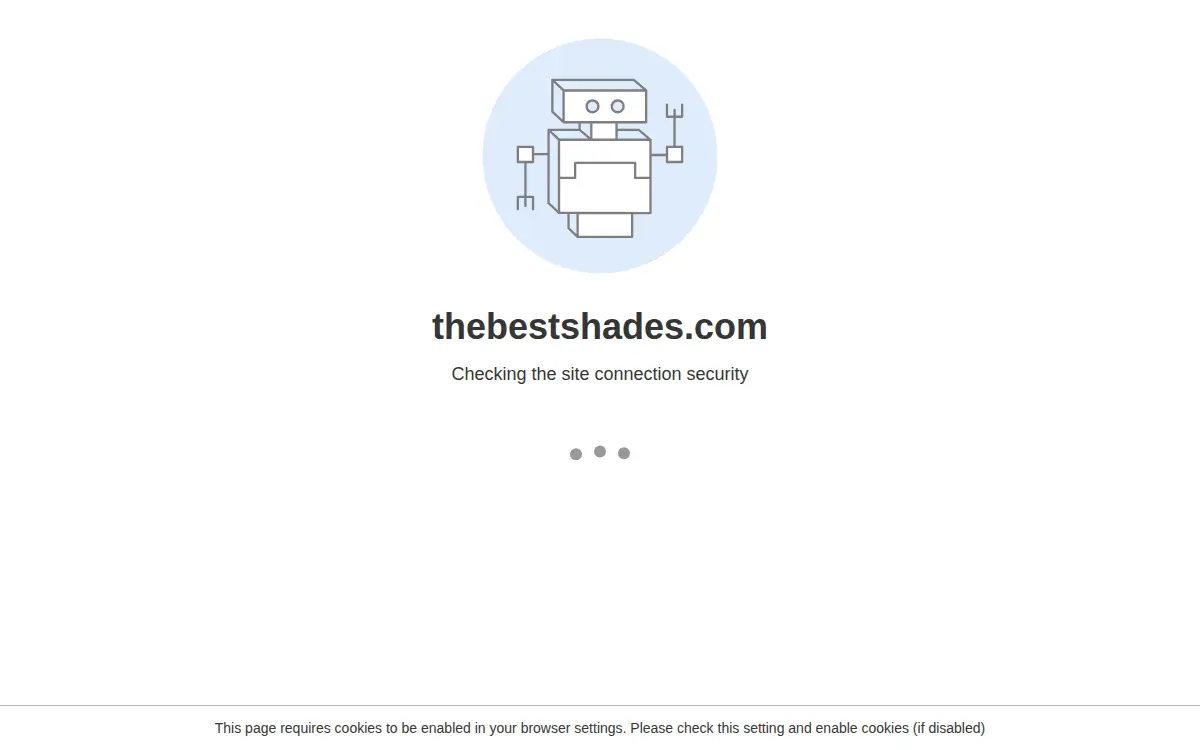Homepage of The Best Shades LLC