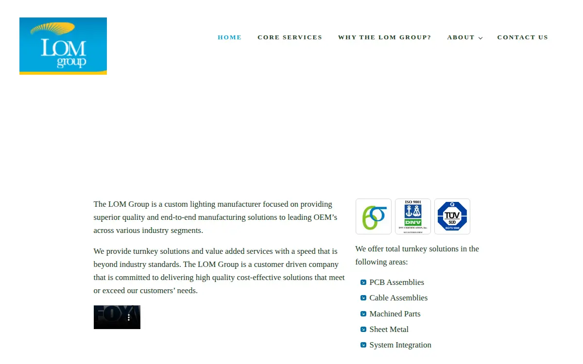 Homepage of Light of Mine LLC