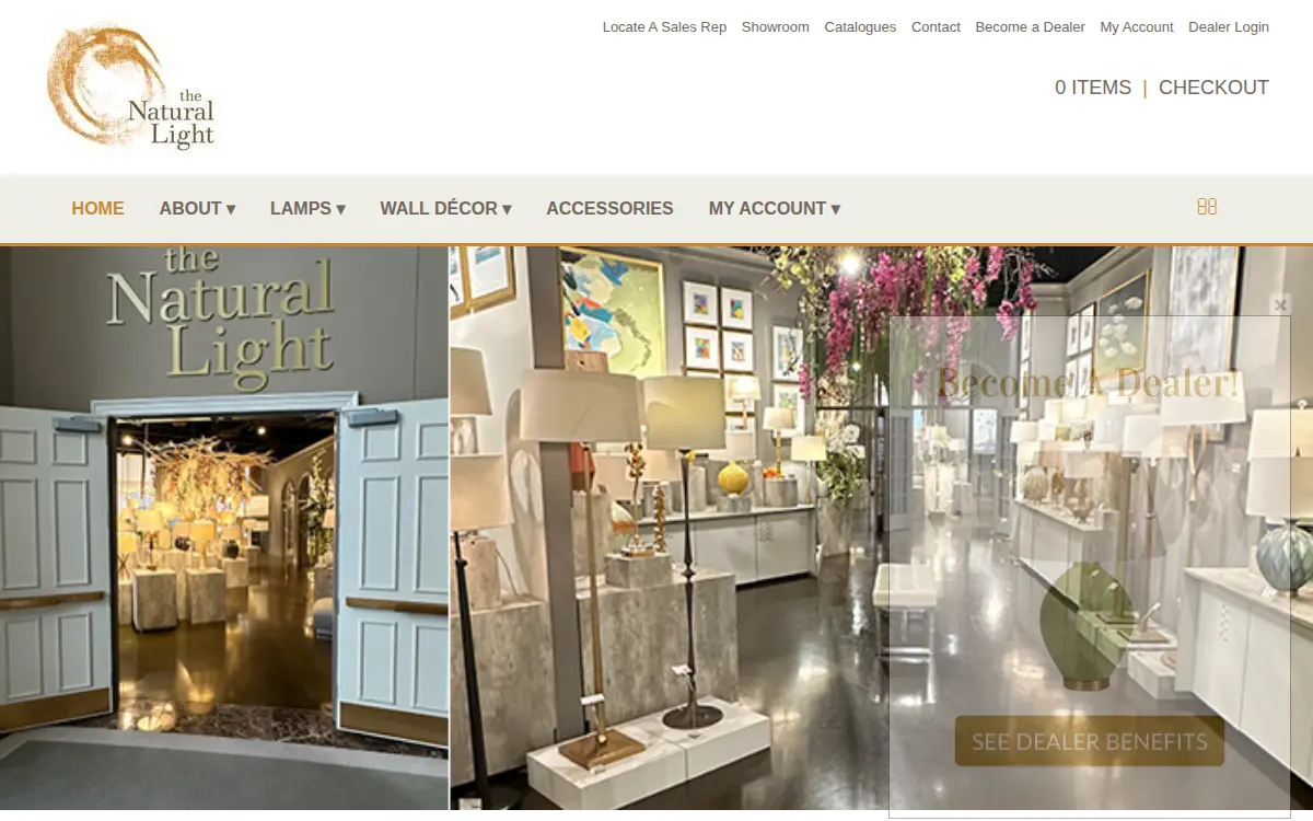 Homepage of The Natural Light, INC.