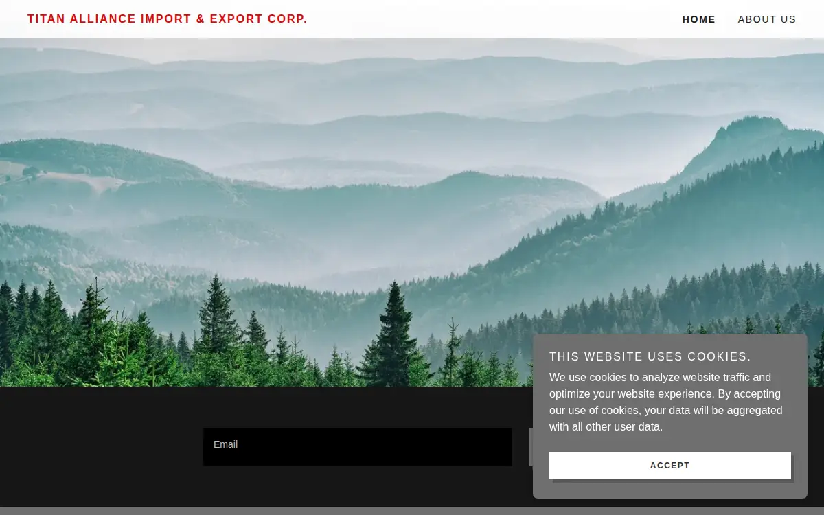 Homepage of Titan Alliance Import & Export CORP
