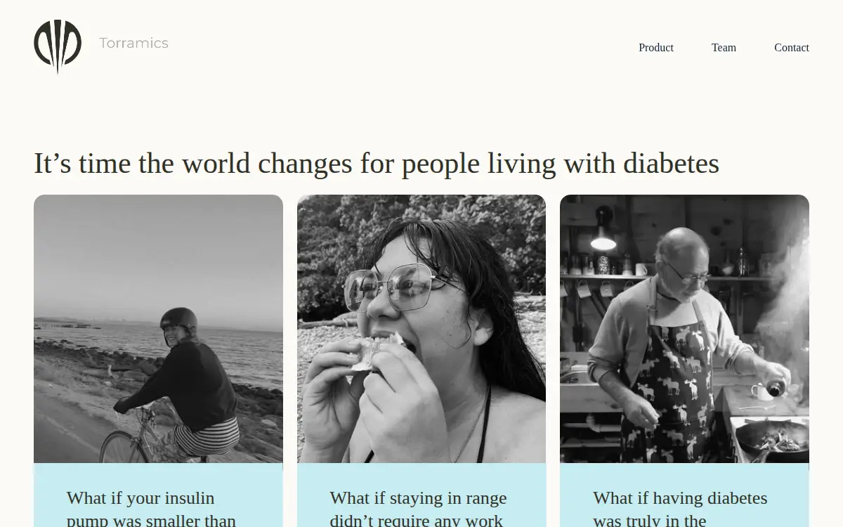 Homepage of Torramics INC
