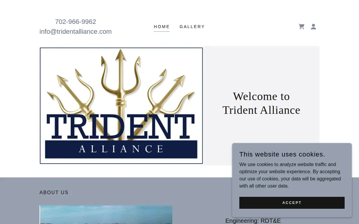 Homepage of Trident Alliance Corporation, LLC