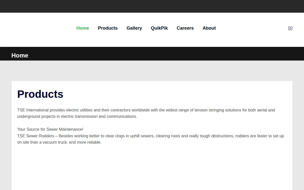 Homepage of Tse International, INC