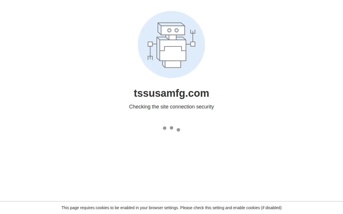 Homepage of Tss Usa, LLC