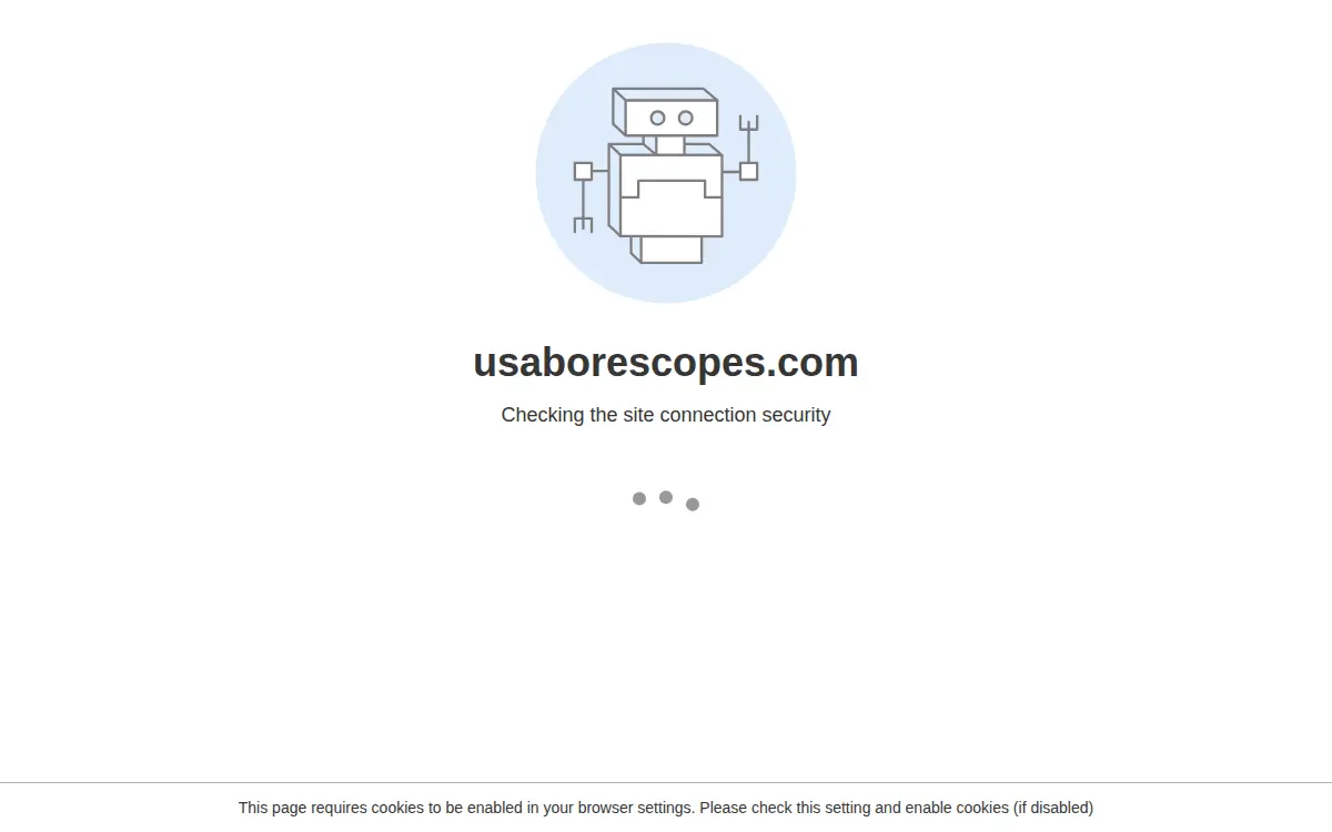 Homepage of USA Borescopes of Tn LLC