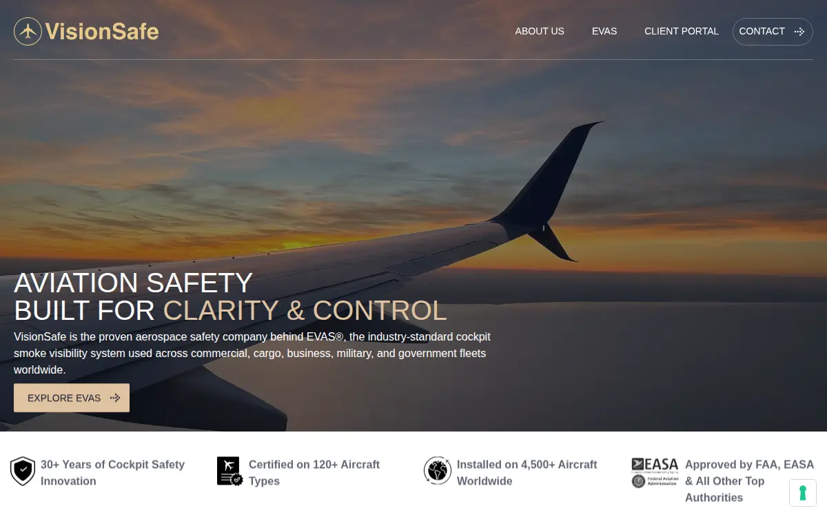 Homepage of Visionsafe Corporation