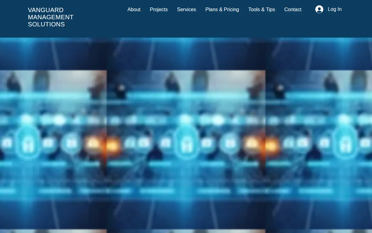 Homepage of Vanguard Management Solutions LLC