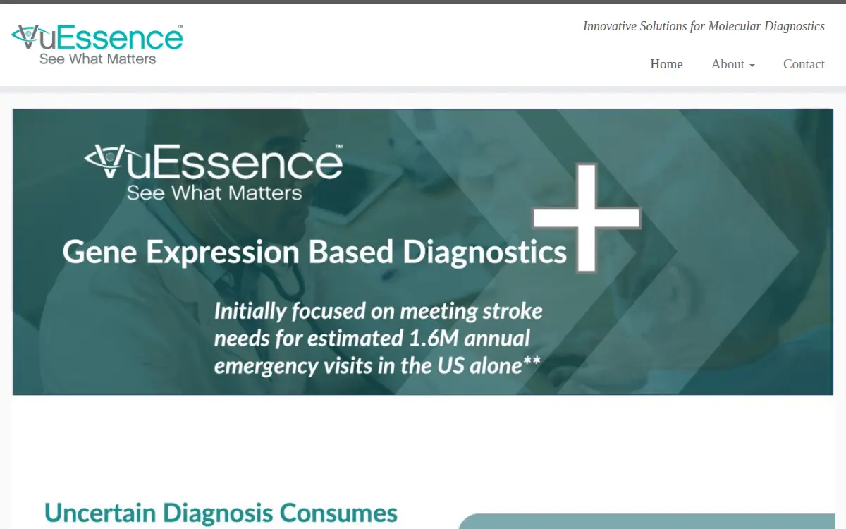 Homepage of Vuessence, INC.