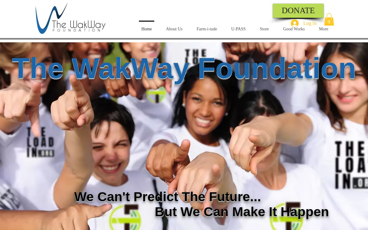 Homepage of Wakway INC