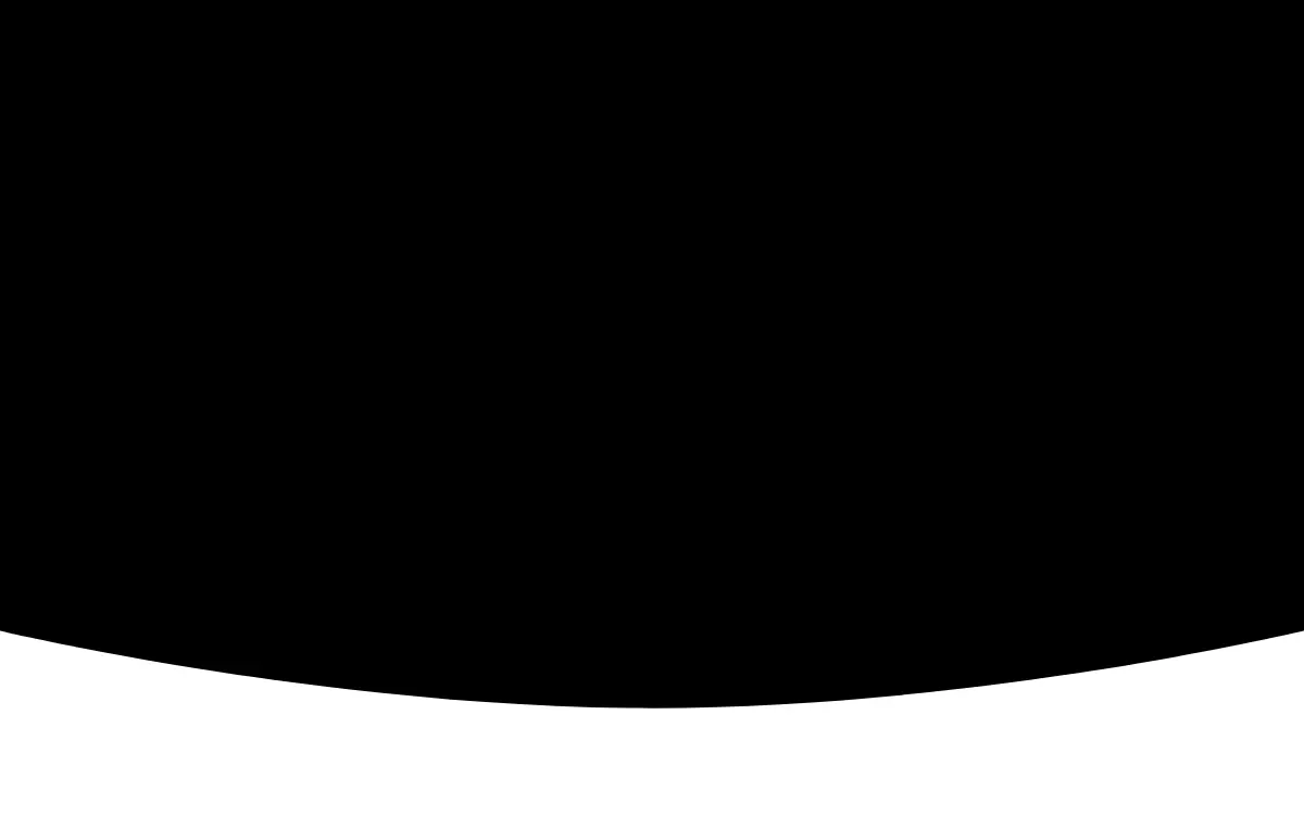 Homepage of Airborne Data Imaging Group, INC